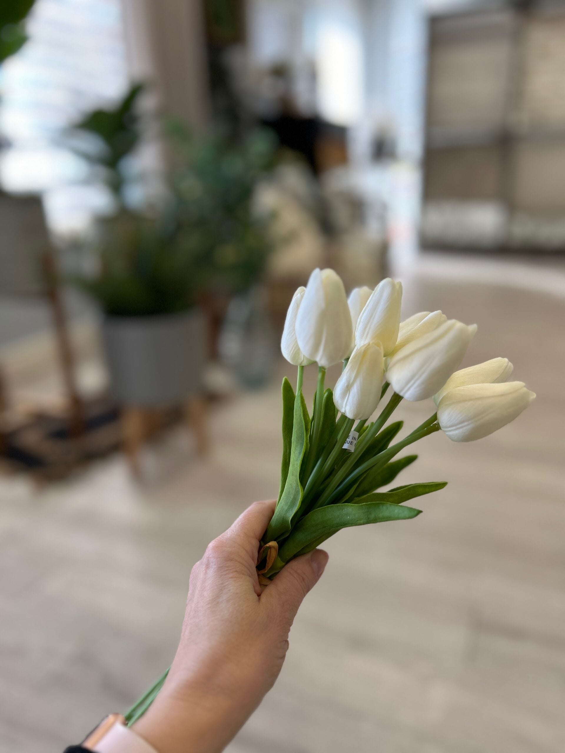 White Tulip Bundle