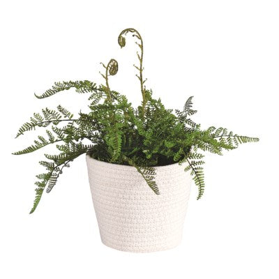 Storage Basket Bennett