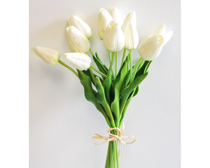 White Tulip Bundle