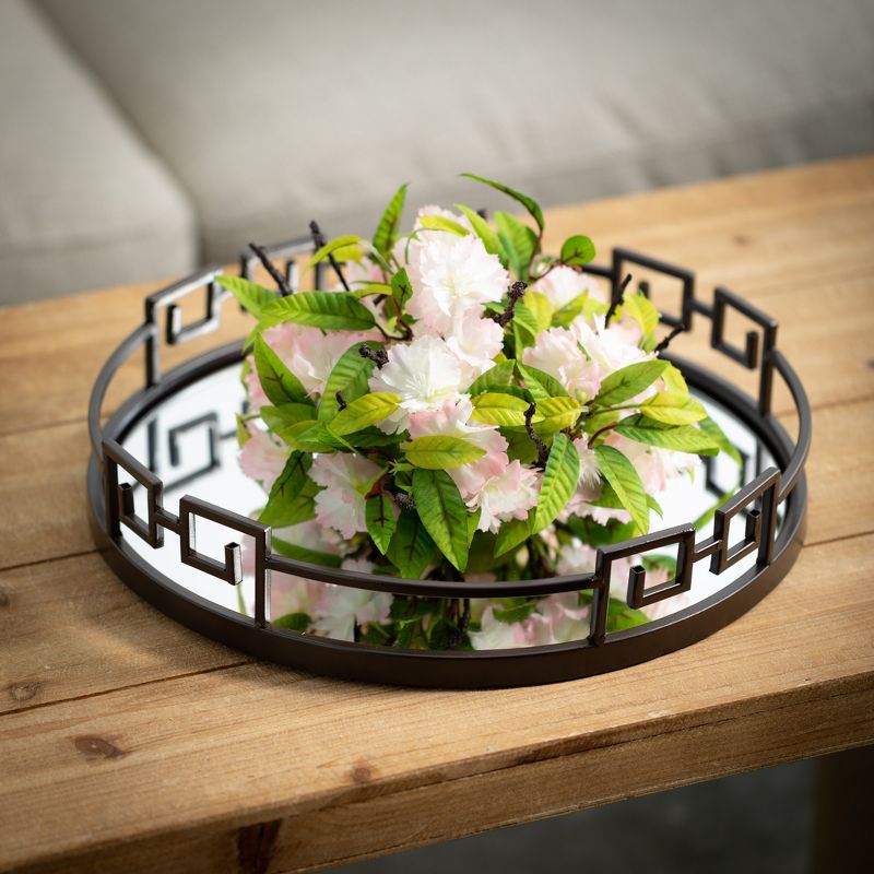 Round Modern Trim Mirrored Trays