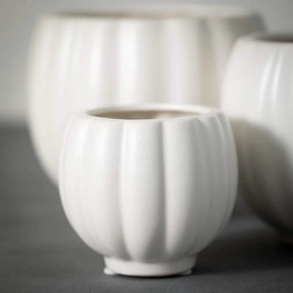 White Ribbed Container Set of 3